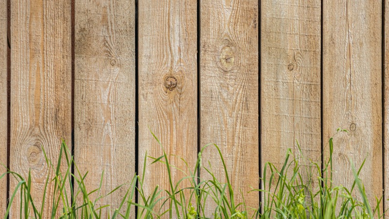 New paling fence backyard