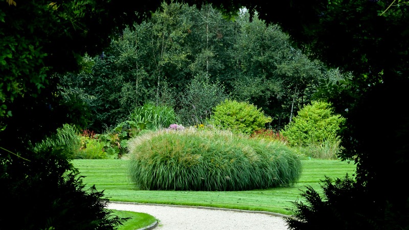 Landscaped lawn and garden Melbourne