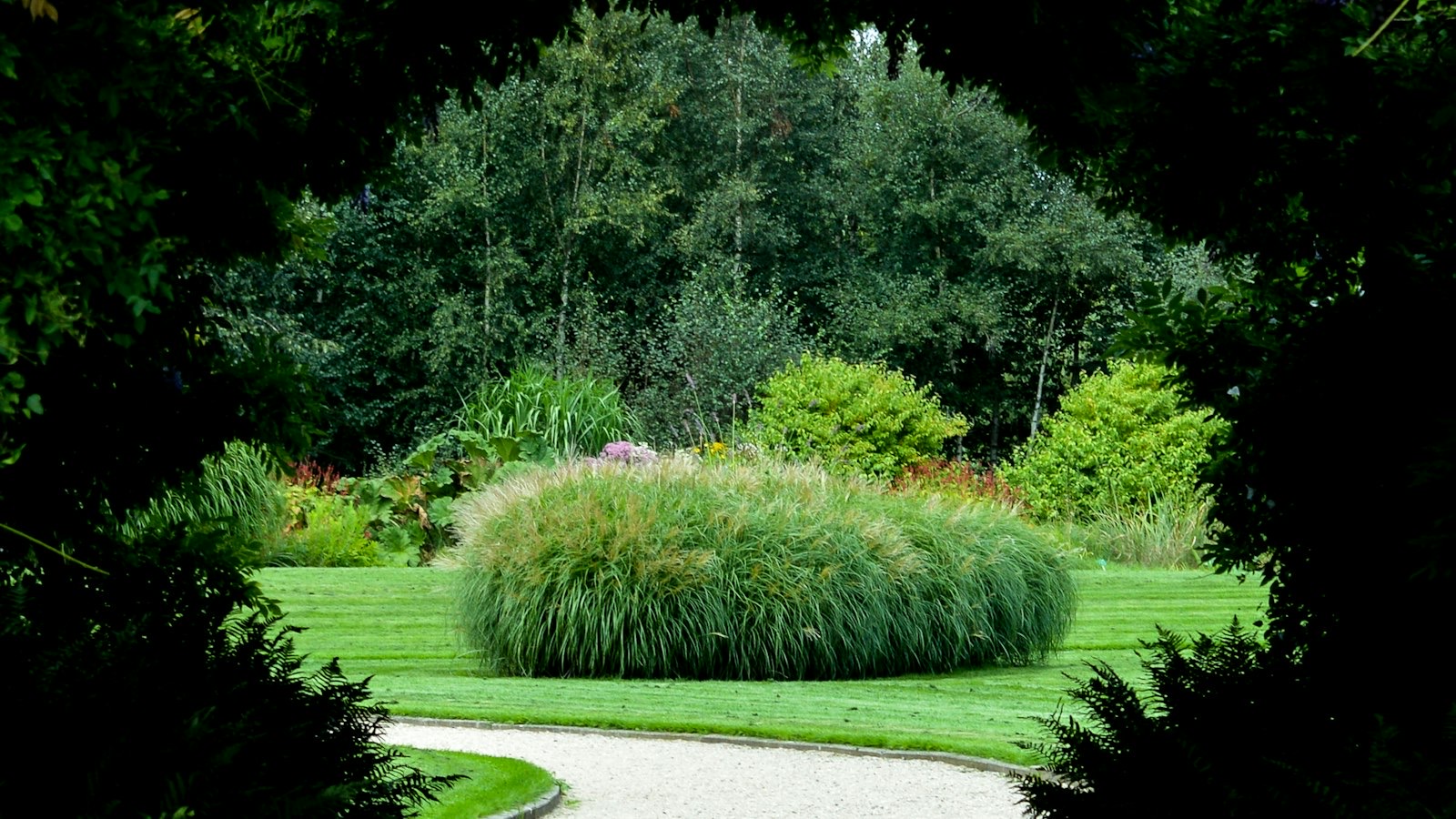 Landscaped lawn and garden Melbourne