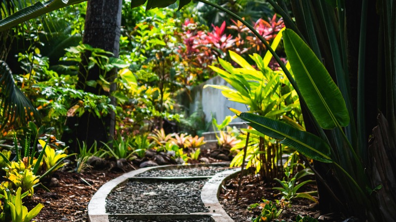 Landscaped backyard Melbourne